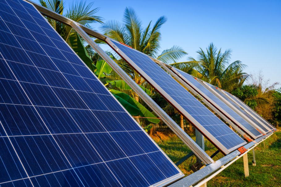 Painéis solares inclinados instalados em área externa com coqueiros ao fundo.