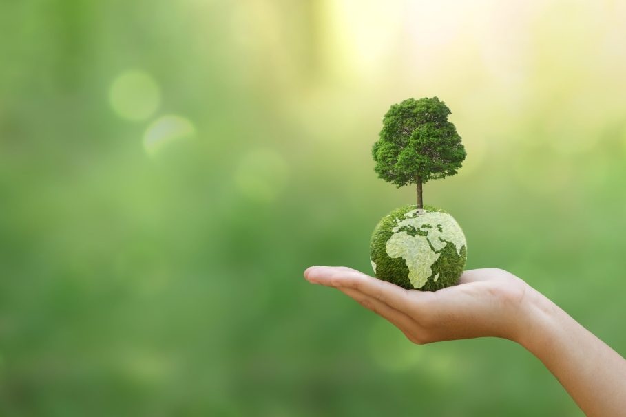 A procura por energias renováveis tem crescido em todo o mundo